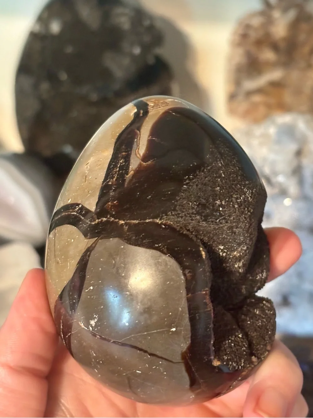 N/A striking polished